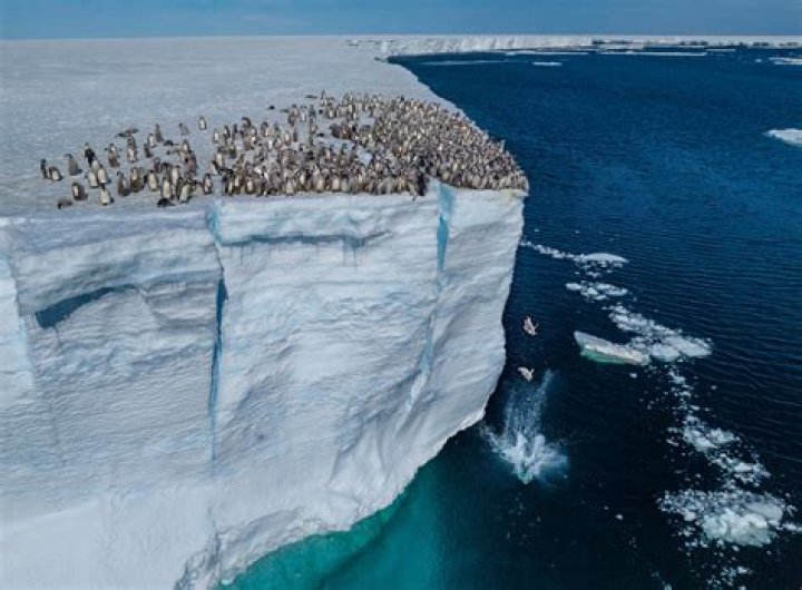 Discover The Unseen Dangers Of Falling Off Cliffs: Uncover Hidden Insights