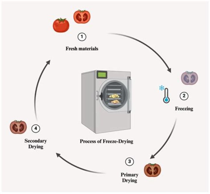 Precision Drying For Quality Products