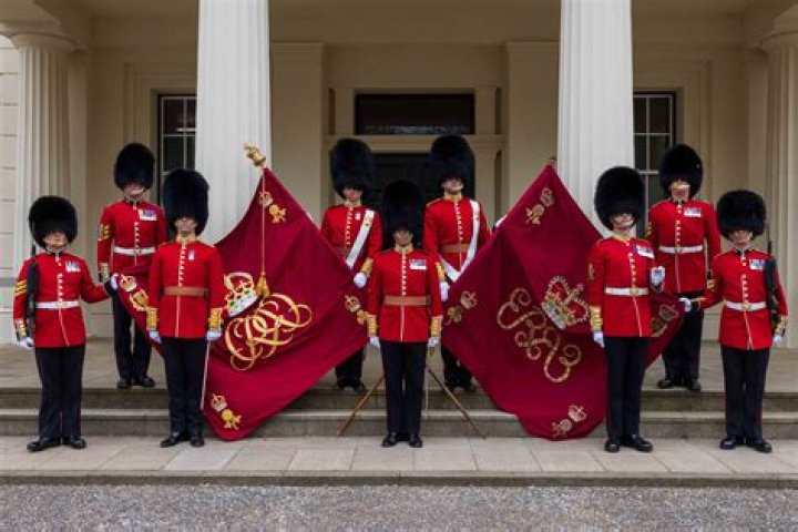 The Consequences Of Royal Guard Laughter Revealed!
