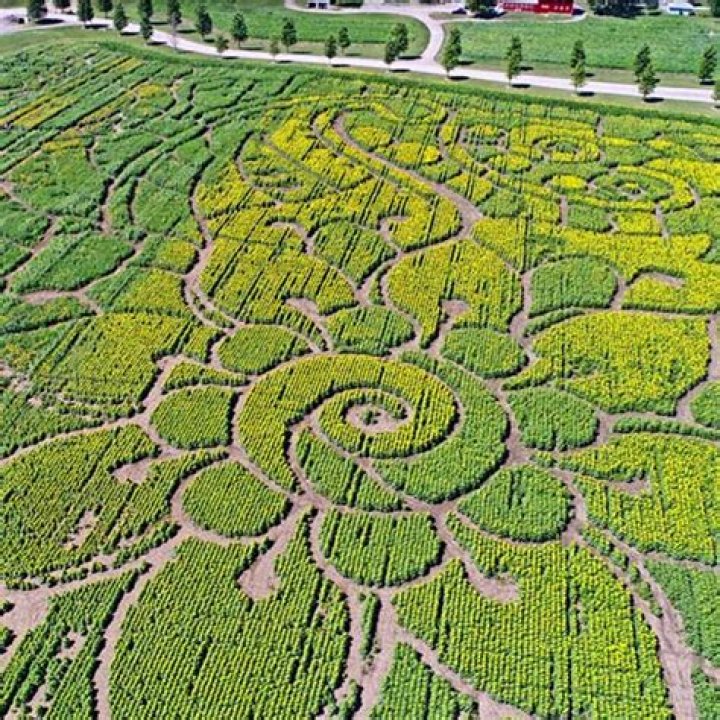 Uncover The Magic Of Richardson Adventure Farm: A Journey Of Discovery