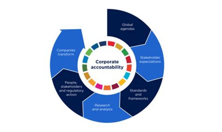 Uncovering Corporate Accountability And Road Safety Insights