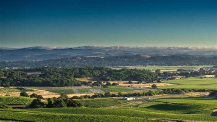 Uncovering The Truth Behind The Scandal