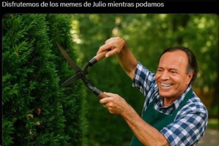 Unveiling The Cultural Phenomenon: Meme Julio Iglesias