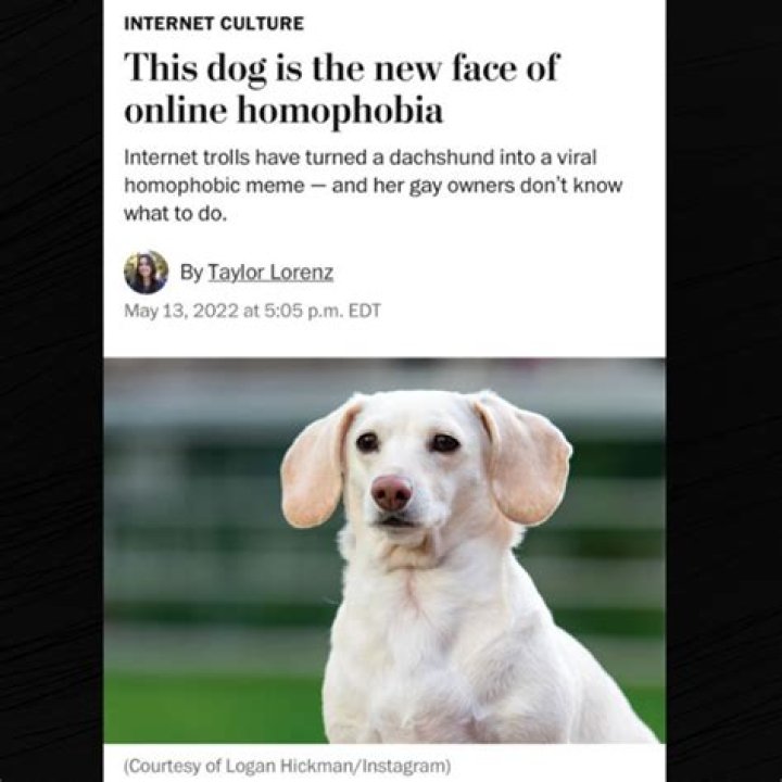 Unveiling The Dark Reality Of Millie Bobby Brown Homophobic Memes