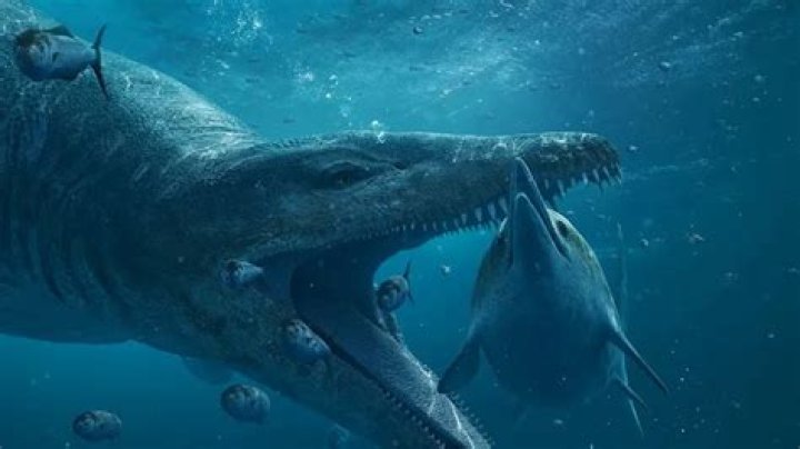 Unveiling The Truth: NASA's Frozen Megalodon Discovery